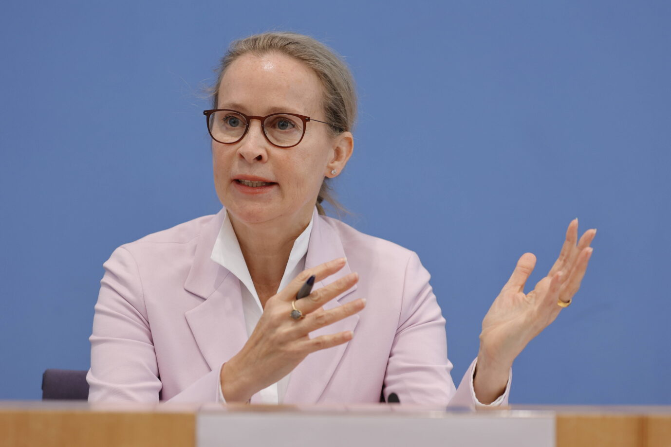 Brosius-Gersdorf: Ethnischer Volksbegriff nicht verfassungsfeindlich