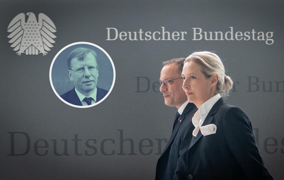 Die AfD und ihre Feinde