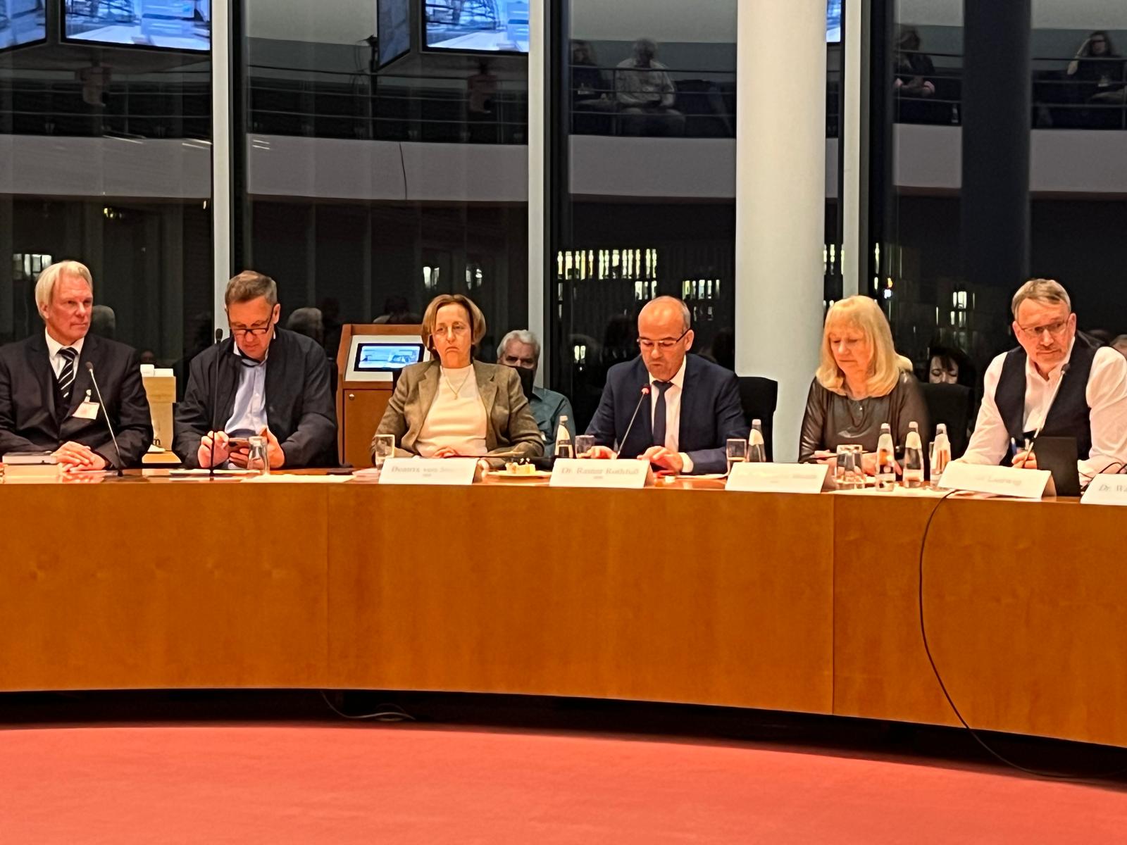 „Corona-Plandemie“: Tagung im Bundestag fordert Freilassung politisch Gefangener